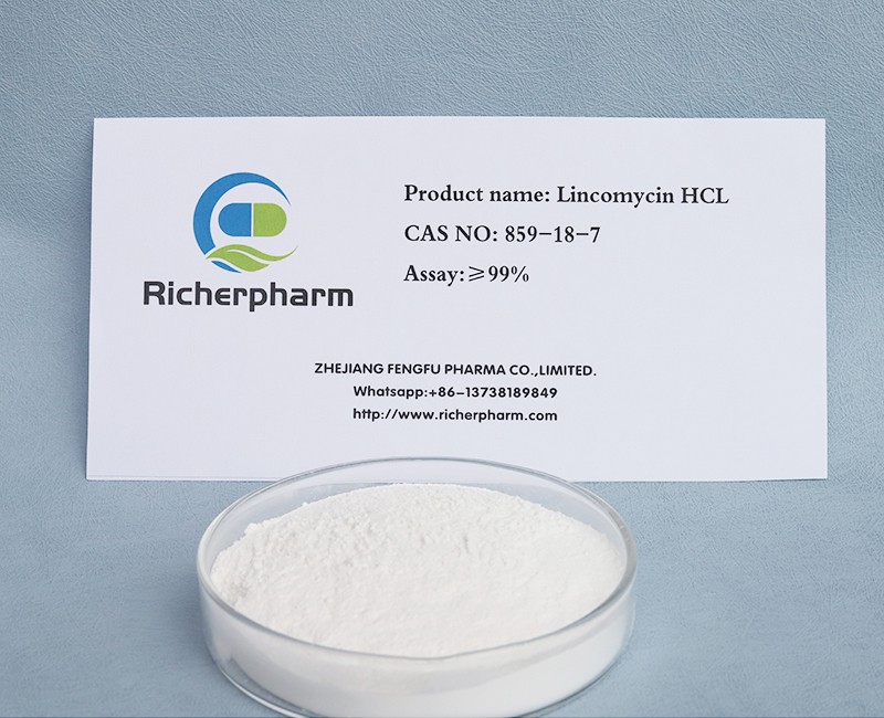 Lincomycin HCL CAS 859-18-7